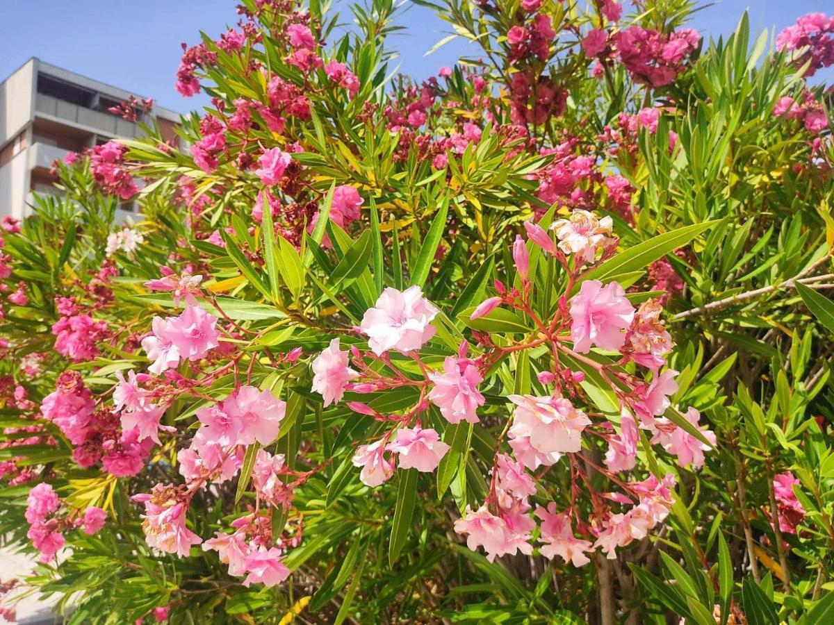 Signora Ruth - Aprilia Residence أبريليا ماريتيما المظهر الخارجي الصورة