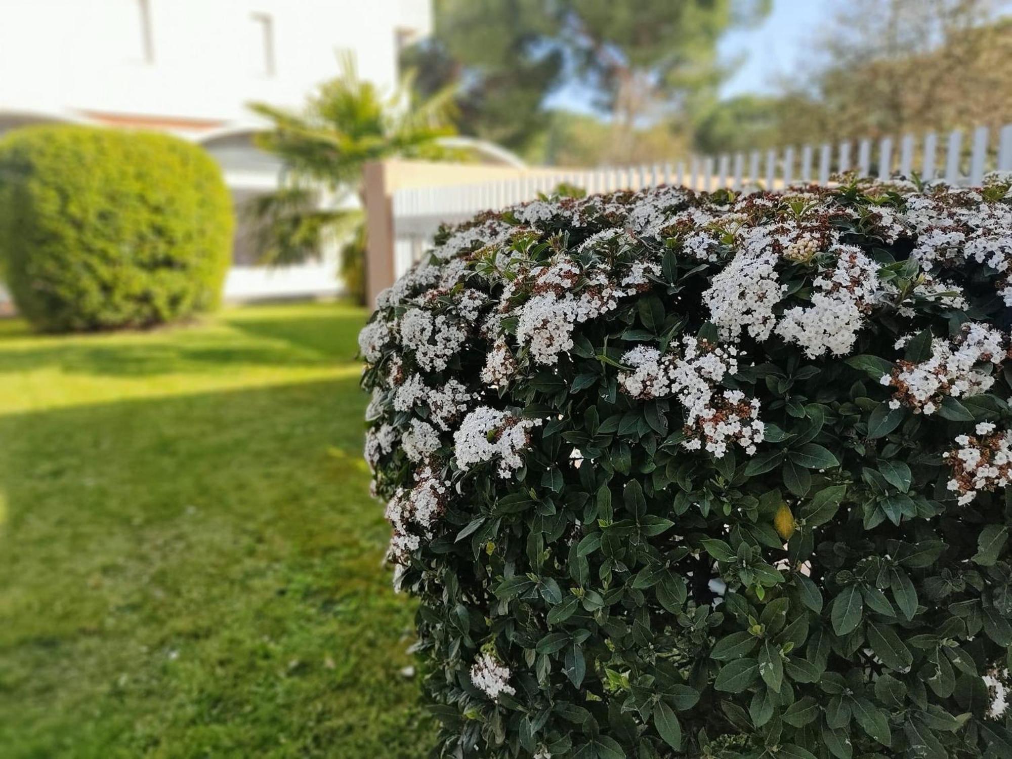 Signora Ruth - Aprilia Residence أبريليا ماريتيما المظهر الخارجي الصورة